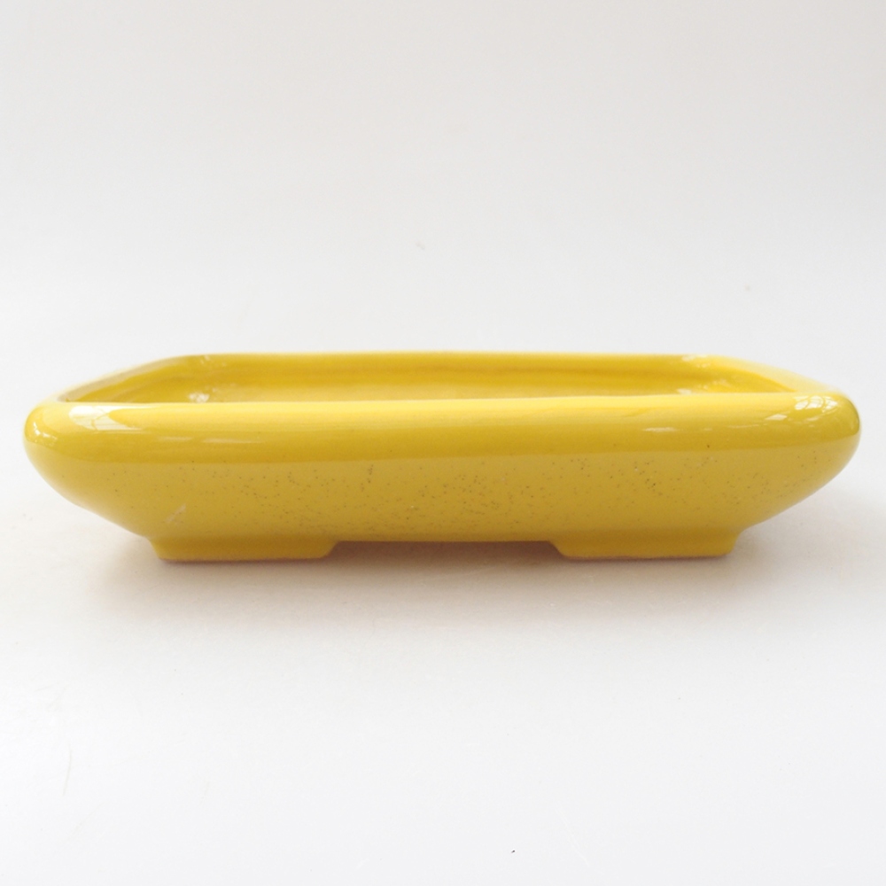 Cuenco bonsái de cerámica 17 x 13,5 x 3,5 cm, amarillo