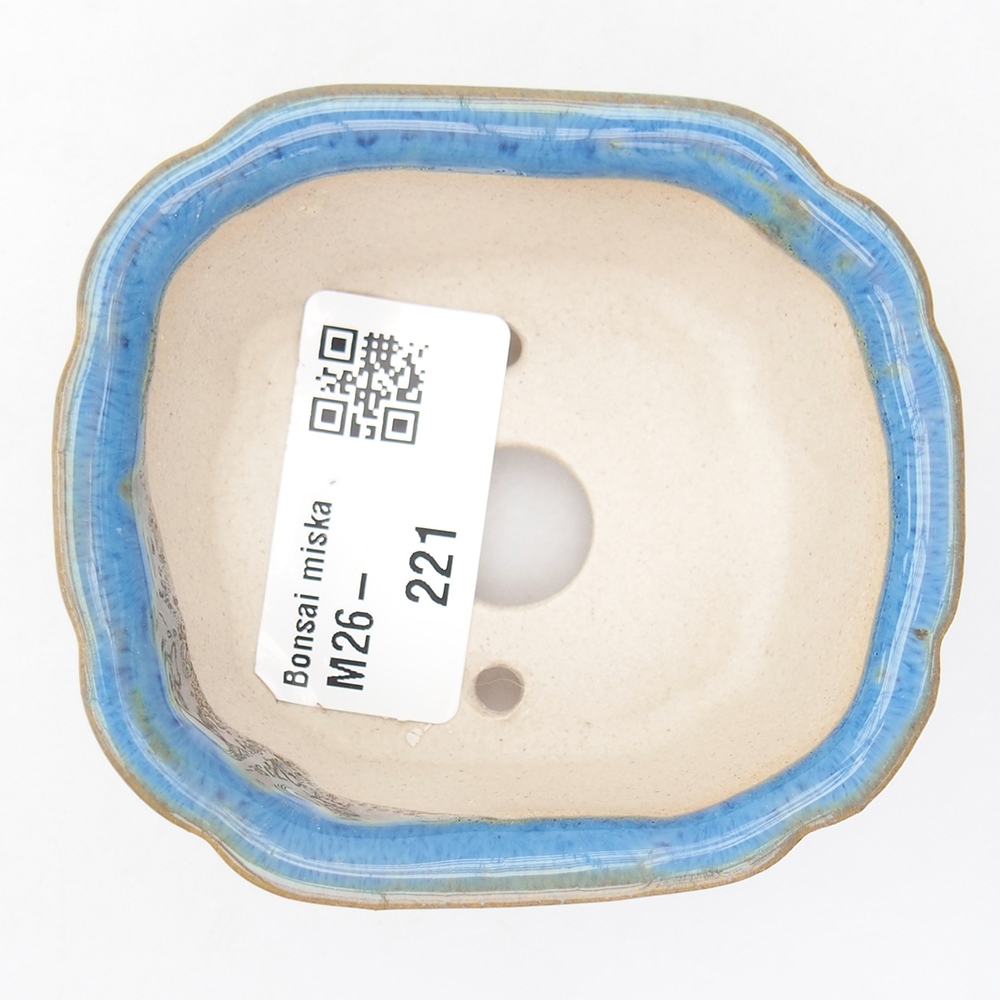 Mini cuenco bonsái 7,5 x 7 x 3 cm, color azul
