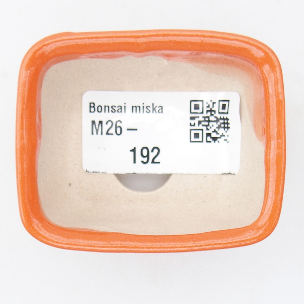 Cuenco mini bonsái 6 x 4,5 x 3 cm, naranja