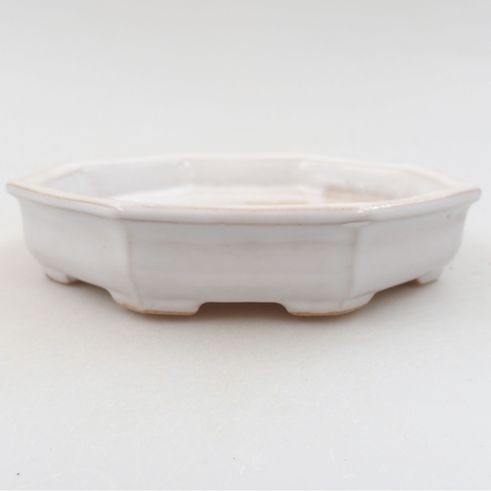 Cuenco bonsái de cerámica 22 x 17 x 5 cm, verde