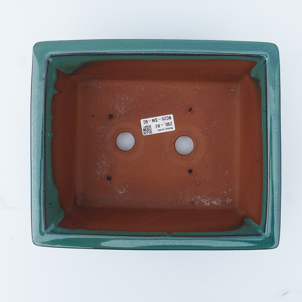 Bol 26 x 21,5 x 10 cm verde