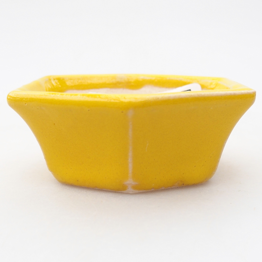 Cuenco mini bonsái 6 x 5,5 x 2,5 cm, amarillo