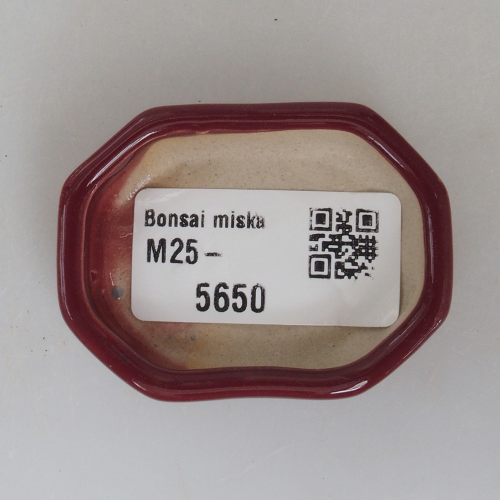 Mini cuenco bonsái 5,5 x 4 x 1,5 cm, color burdeos