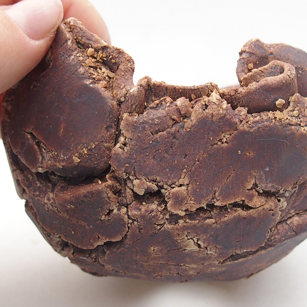 Concha de cerámica 9 x 8,5 x 6,5 cm , color marrón