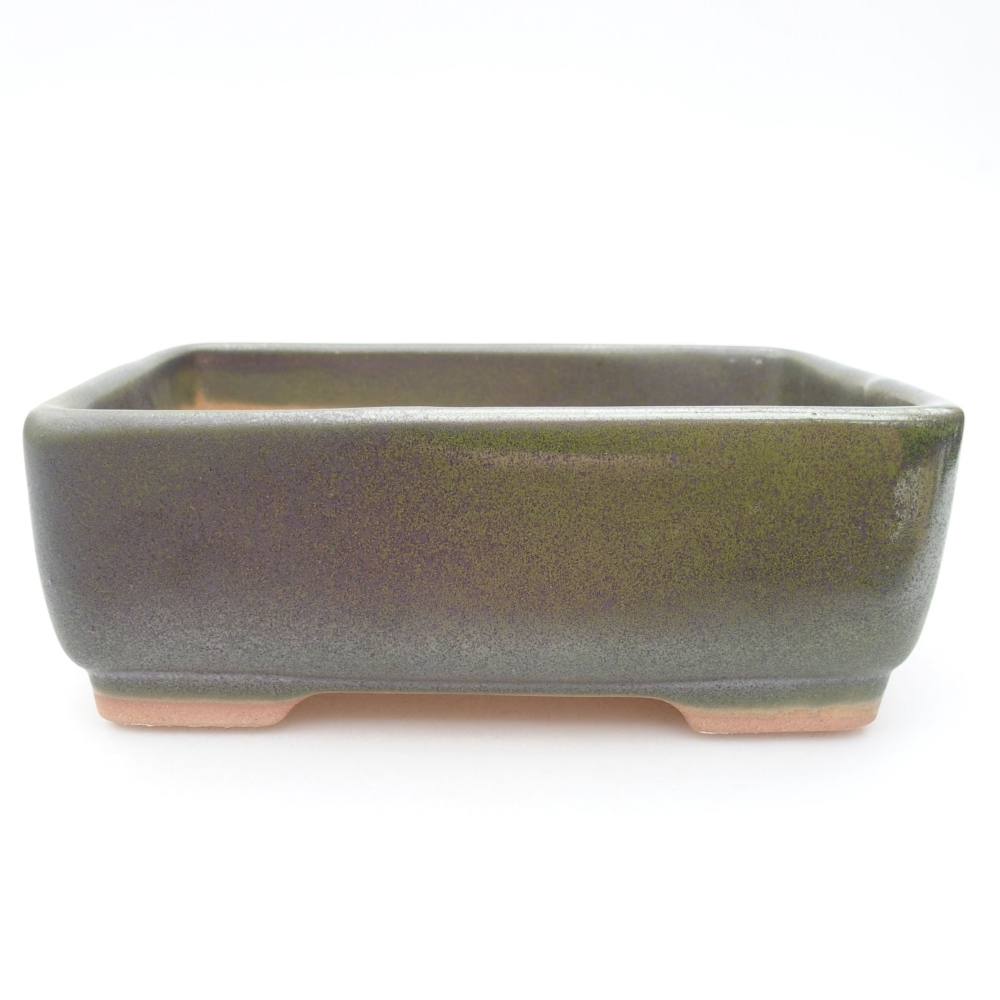 Cuenco bonsái de cerámica 15 x 11 x 5,5 cm, verde