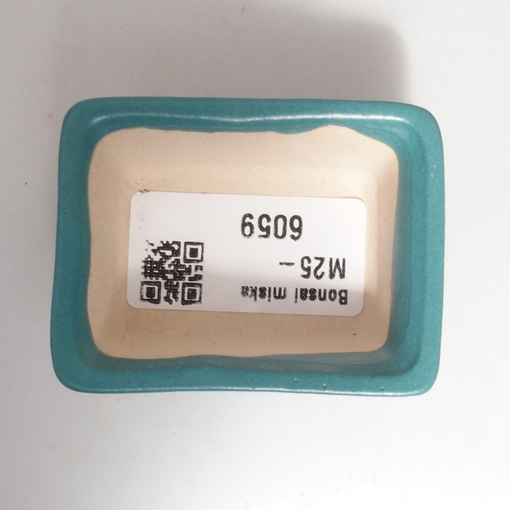 Cuenco bonsái de cerámica 6,5 x 5,5 x 4 cm, color azul