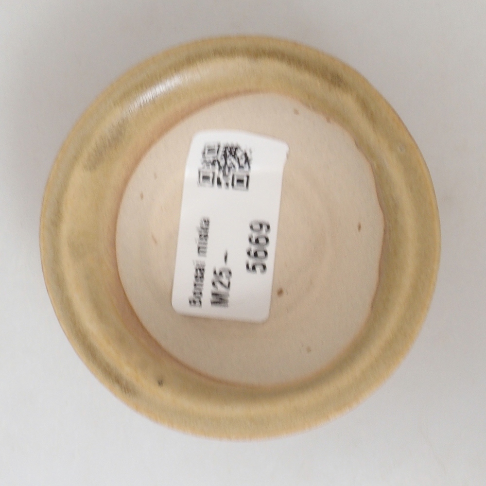 Cuenco mini bonsái 7 x 7 x 2,5 cm, marrón