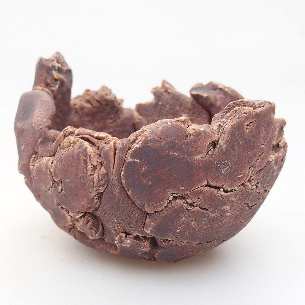 Concha de cerámica 9,5 x 9 x 7 cm , color marrón