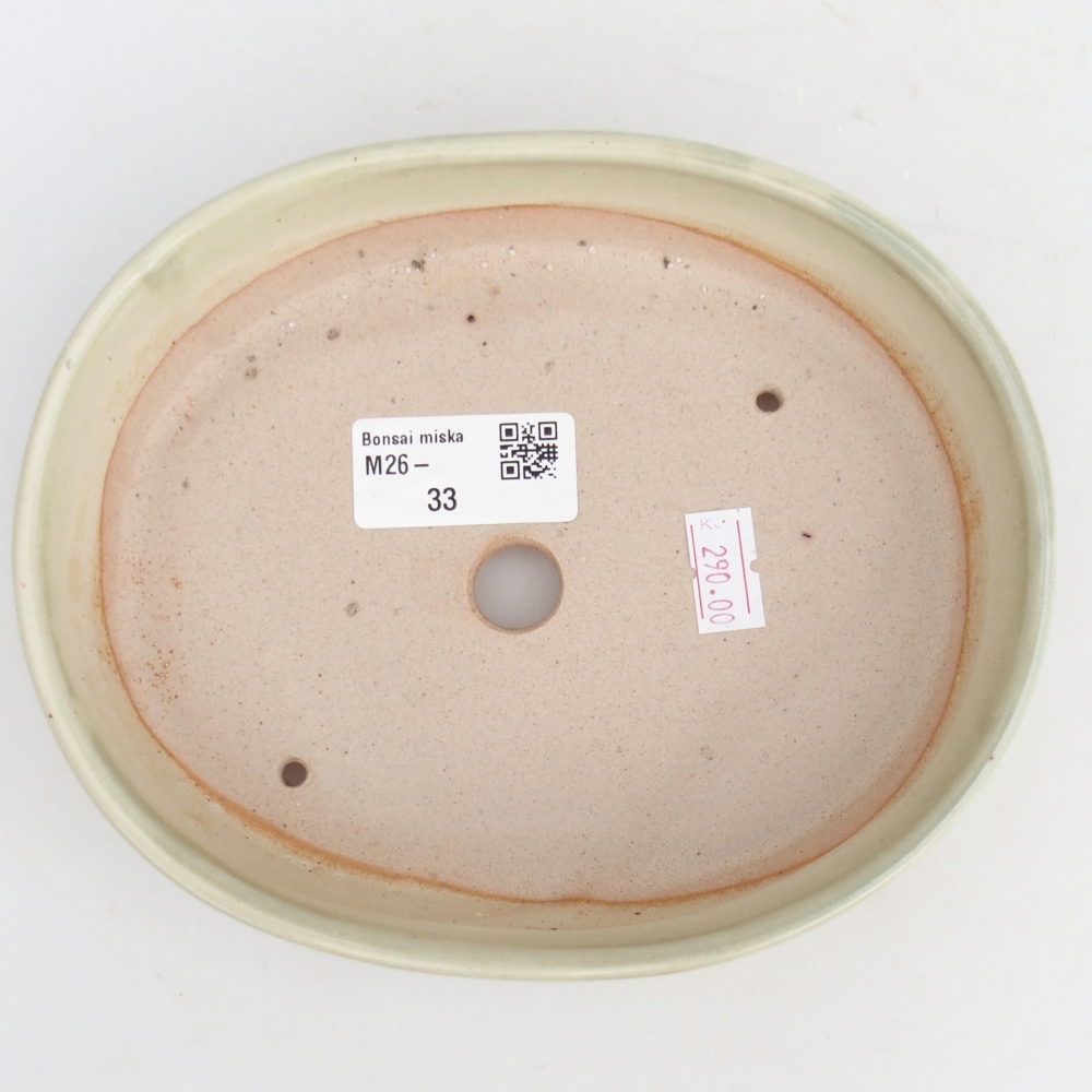 Cuenco bonsái de cerámica 17 x 14 x 4 cm, verde