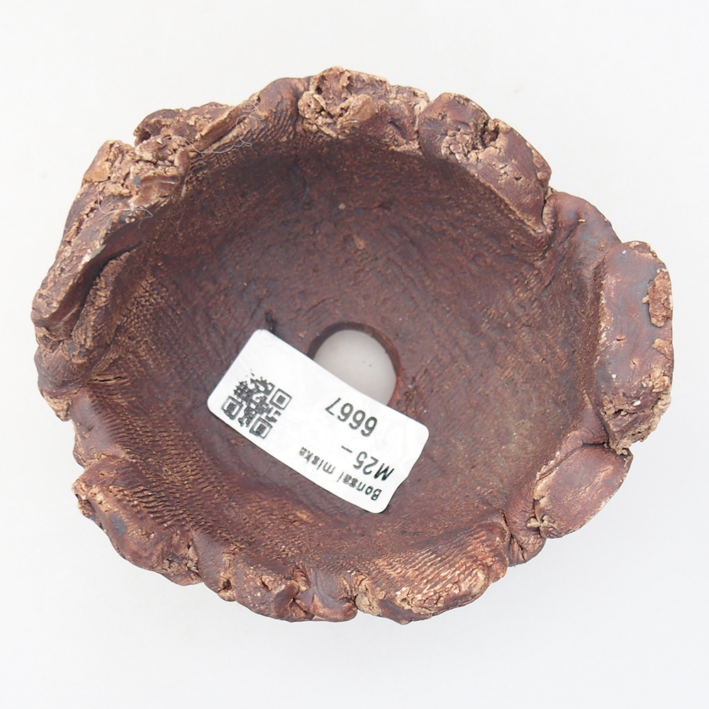 Concha de cerámica 9 x 9 x 6 cm , color marrón