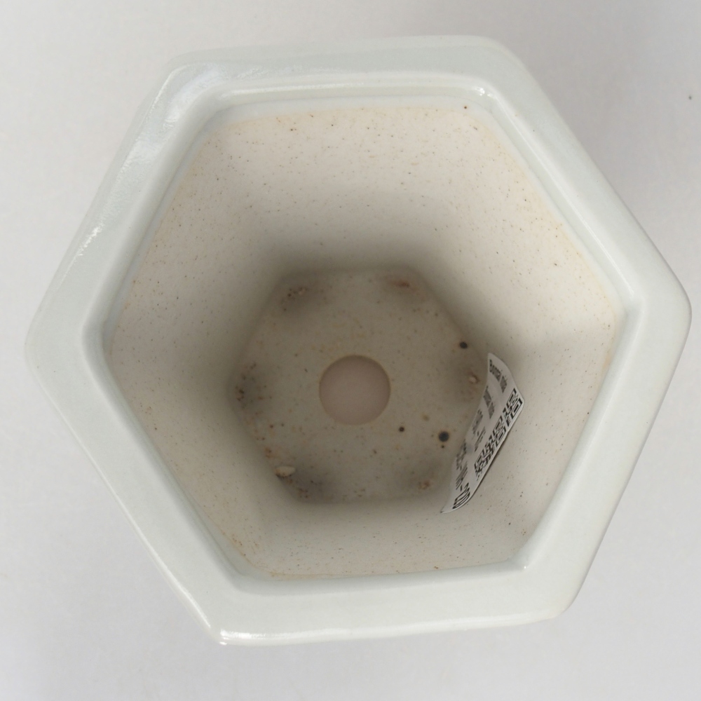 Cuenco bonsái de cerámica 10 x 9 x 9 cm, color blanco