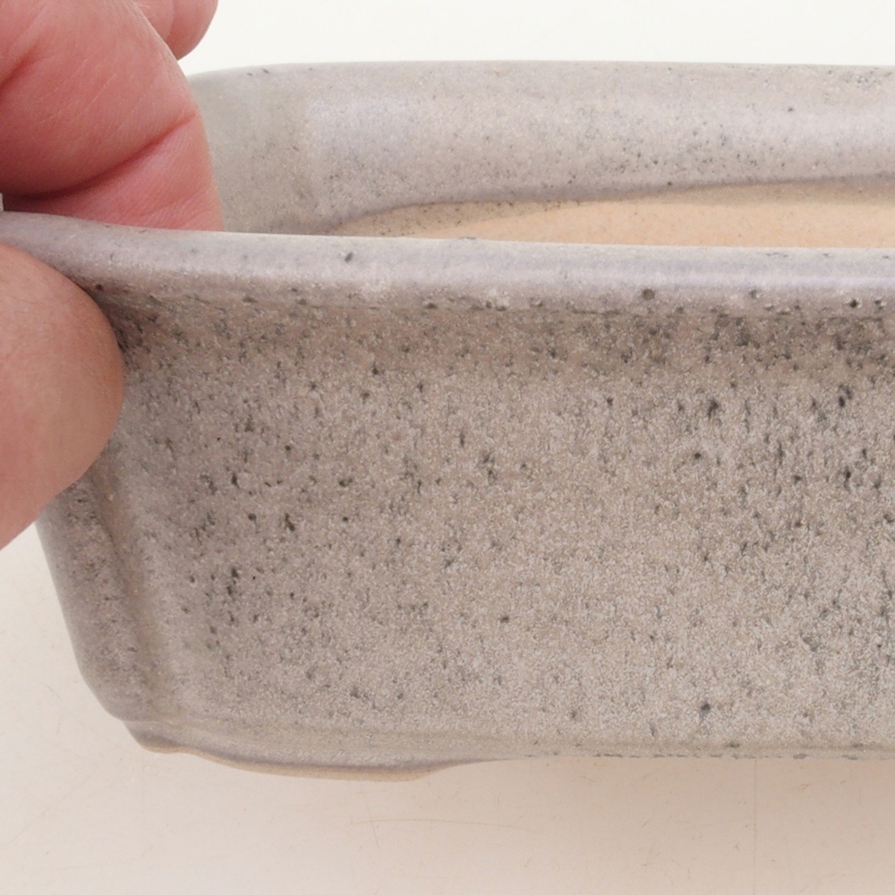 Cuenco bonsái H50 - 17 x 12,5 x 5,5 cm - beige