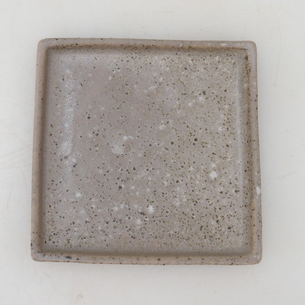 Plato bonsai cuadrado M - 10 x 10 x 1,5 cm - beige