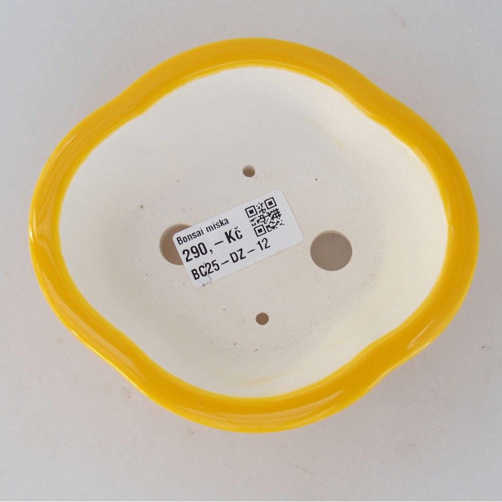 Cuenco bonsái de cerámica 13 x 12 x 5 cm, amarillo