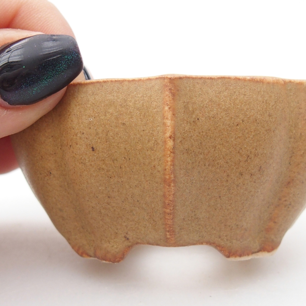 Mini cuenco bonsái 7 x 5 x 3 cm, marrón