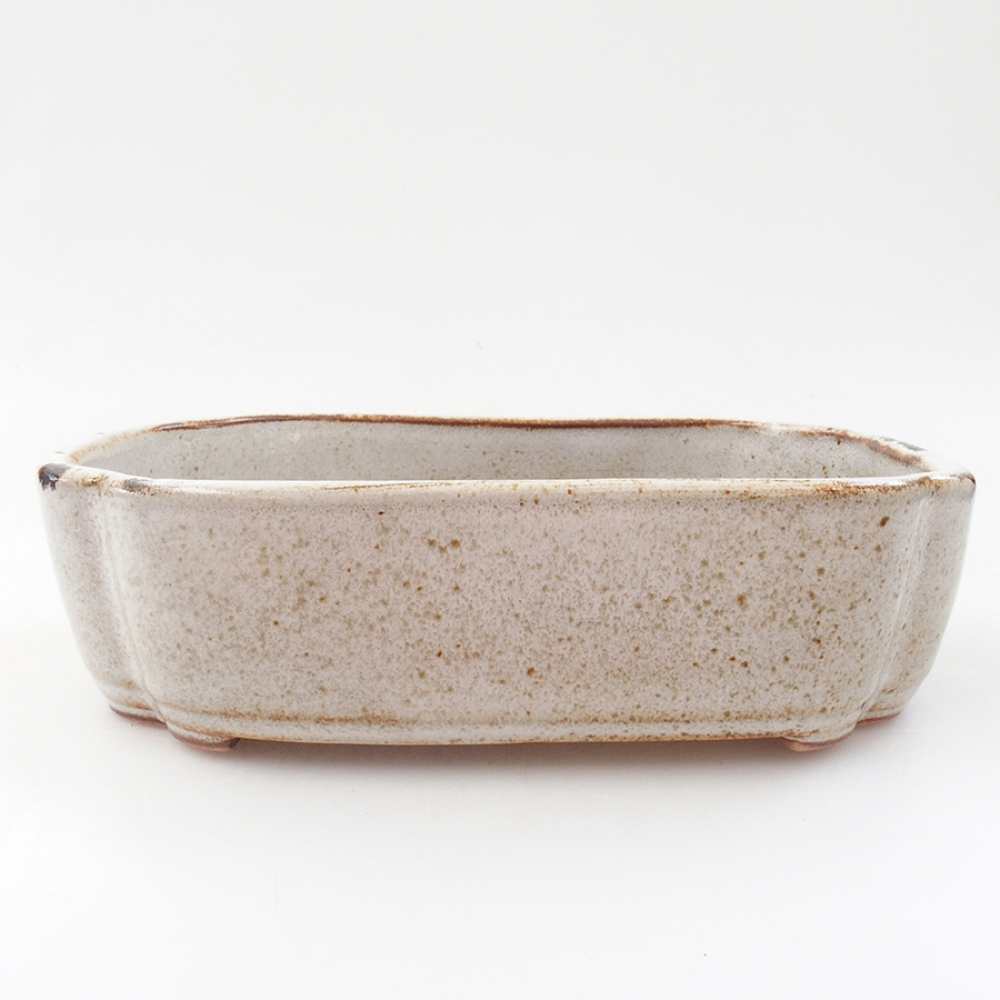 Cuenco bonsái de cerámica 18 x 13 x 5 cm, blanco