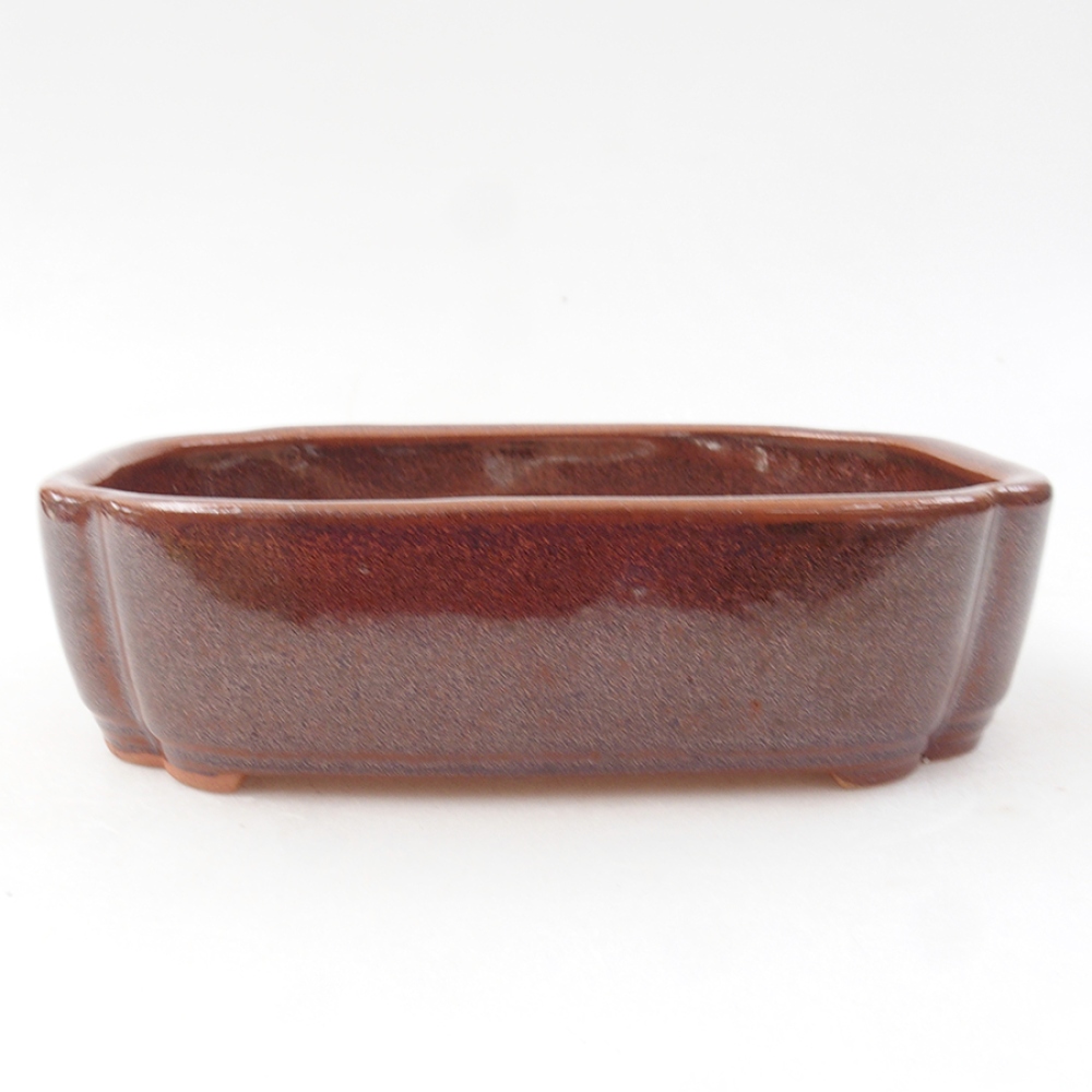 Cuenco bonsái de cerámica 15 x 11,5 x 4,5 cm, marrón