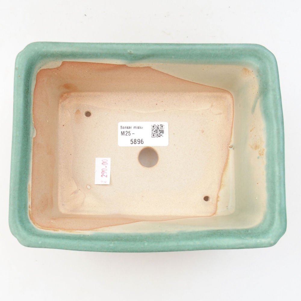 Cuenco bonsái de cerámica 22 x 17 x 5 cm, verde