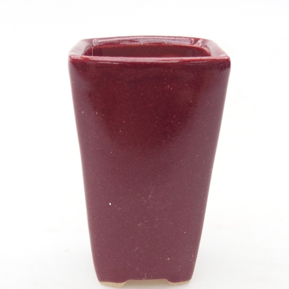 Mini cuenco bonsái 3,5 x 3 x 5,5 cm, color burdeos