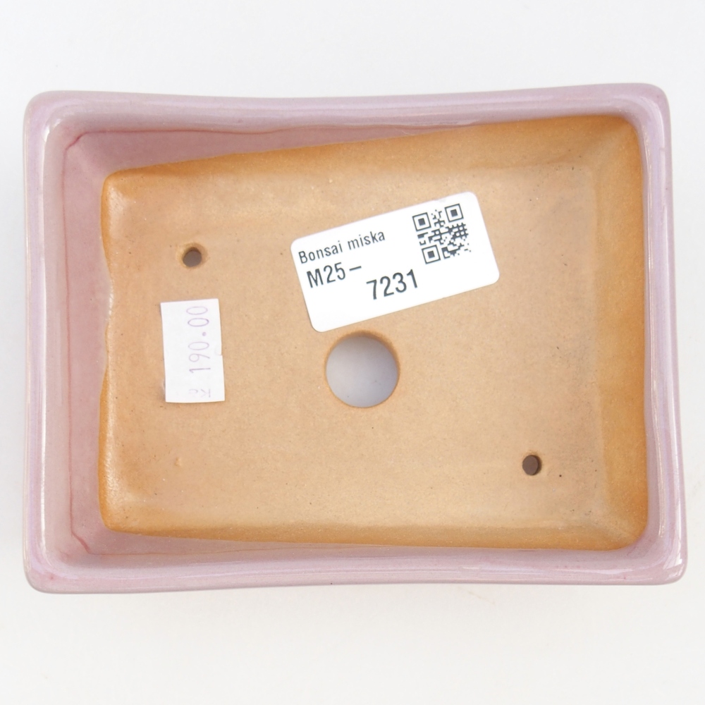 Cuenco bonsái de cerámica 12 x 9 x 3,5 cm, rosa