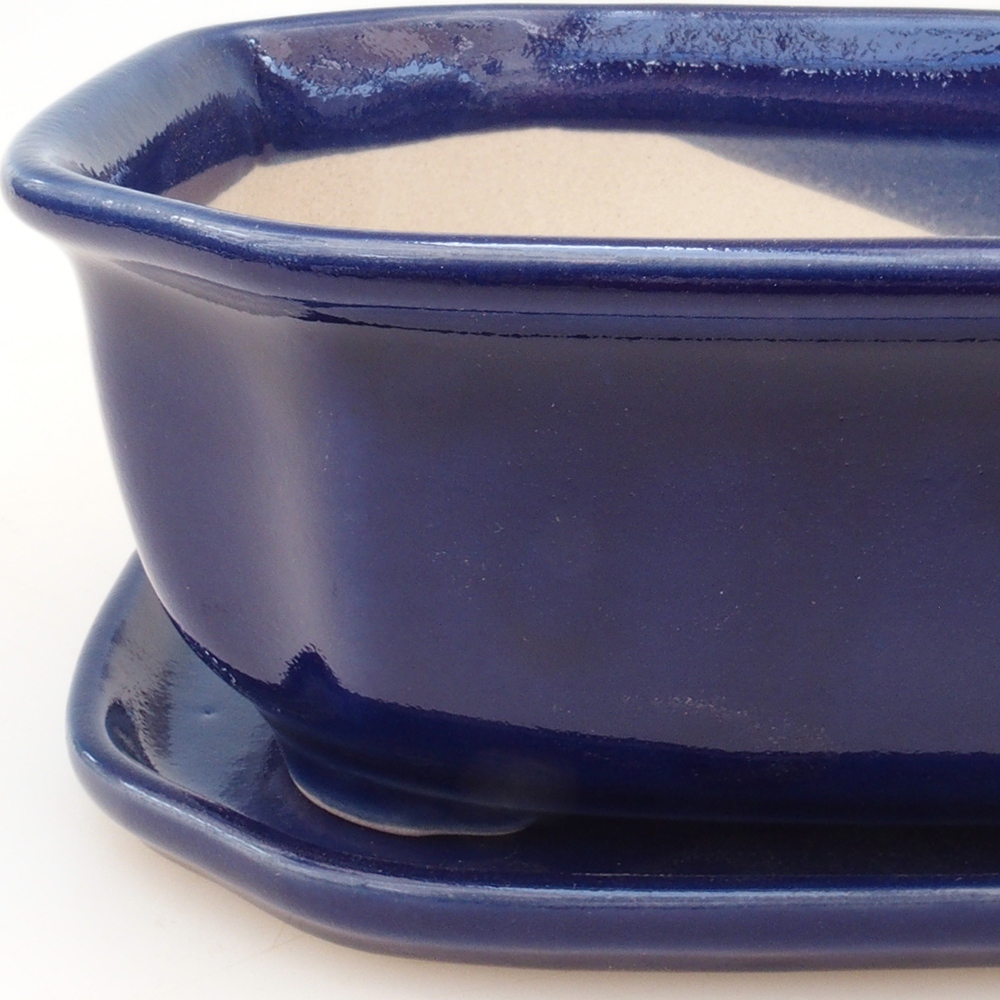 Bonsai cuenco + platillo H32 - azul