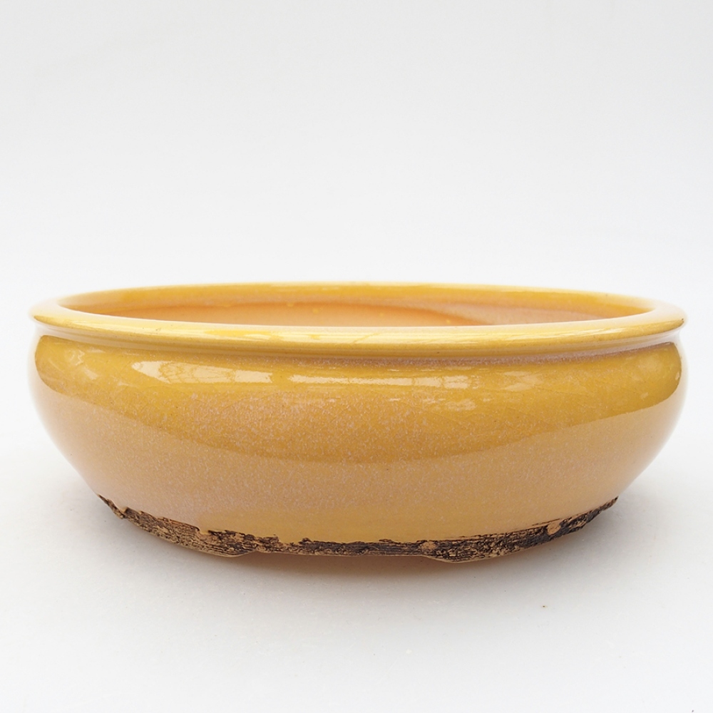 Cuenco bonsái de cerámica 18,5 x 18,5 x 6 cm, amarillo