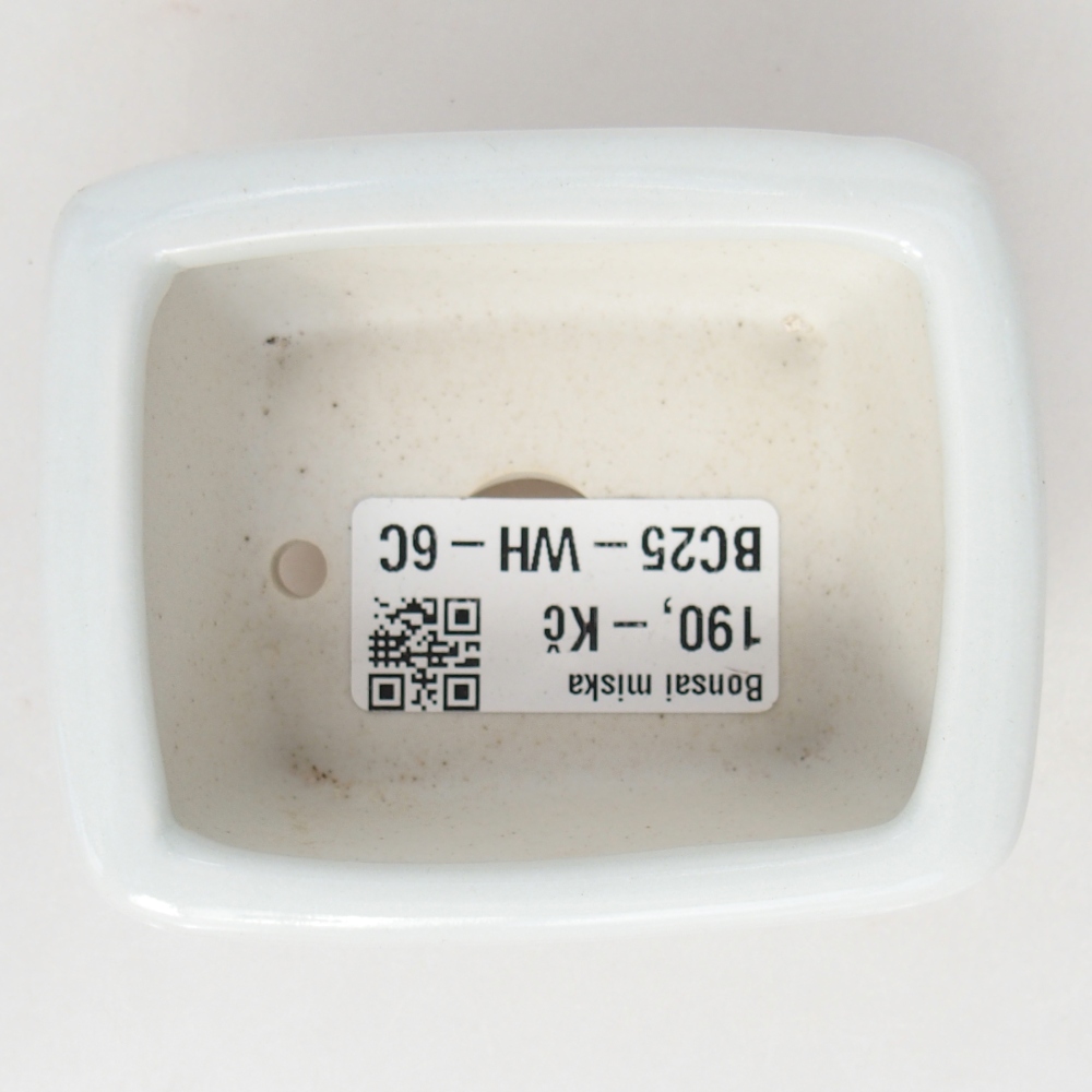 Cuenco mini bonsái 8 x 6,5 x 3,5 cm, blanco