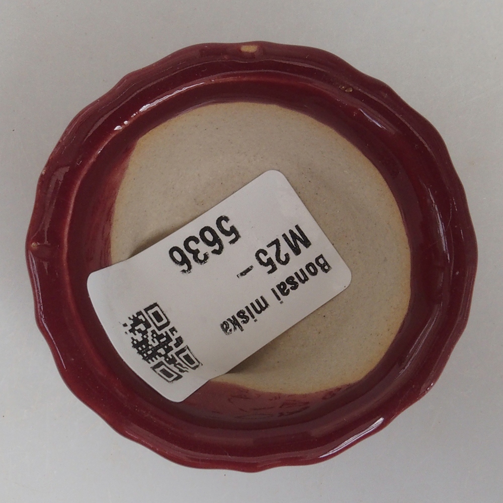 Mini cuenco bonsái 5 x 5 x 2,5 cm, color burdeos