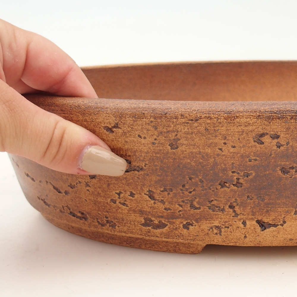 Cuenco bonsái 32 x 25 x 7,5 cm , color marrón