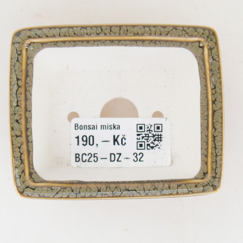 Cuenco mini bonsái 7,5 x 6 x 3 cm, verde