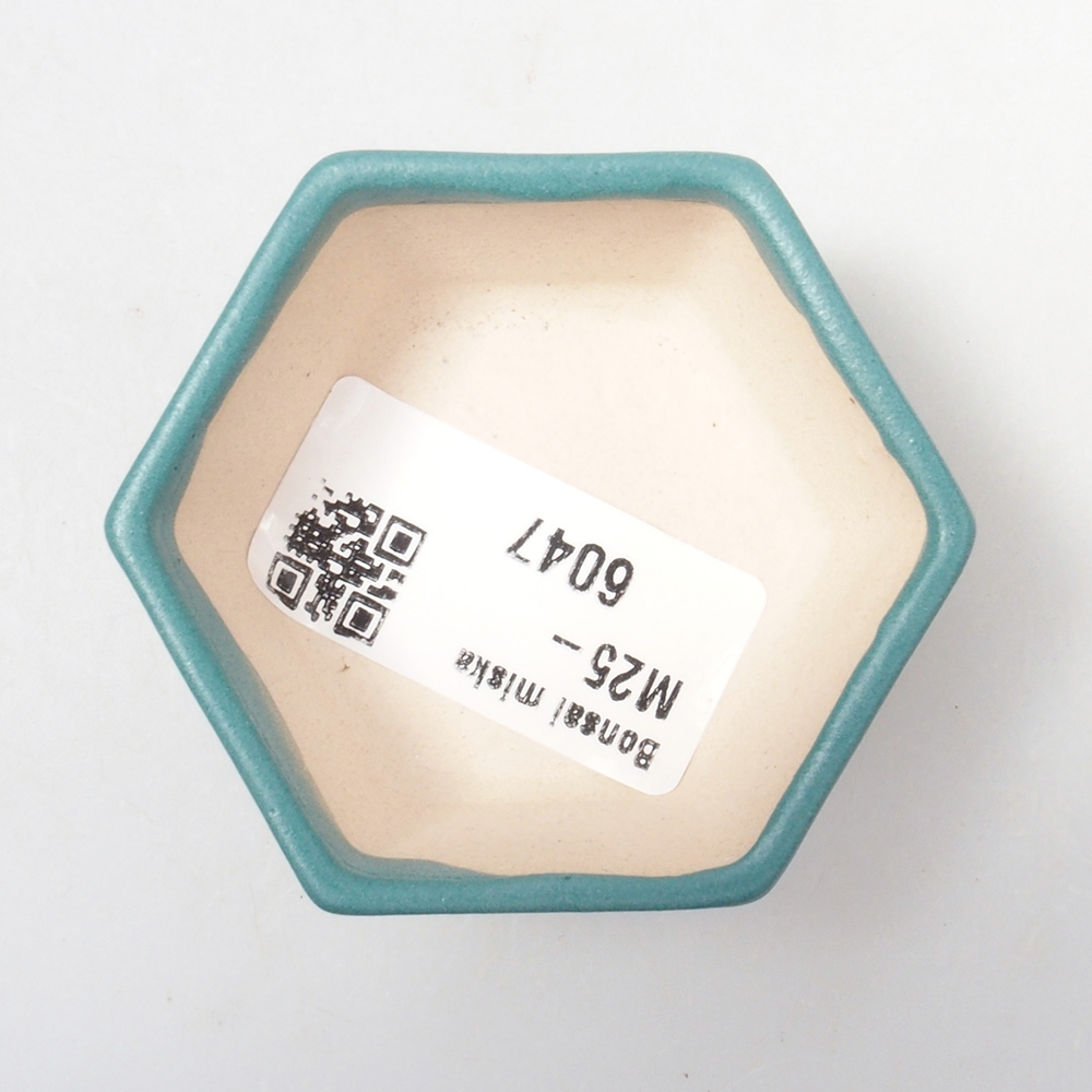 Cuenco bonsái de cerámica 6,5 x 5,5 x 4 cm, color azul