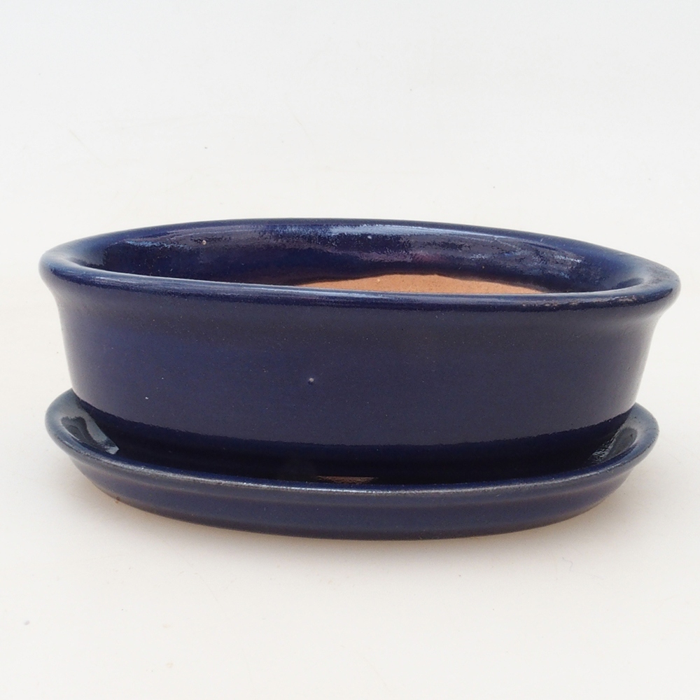 Cuenco bonsái + platillo H04 - azul