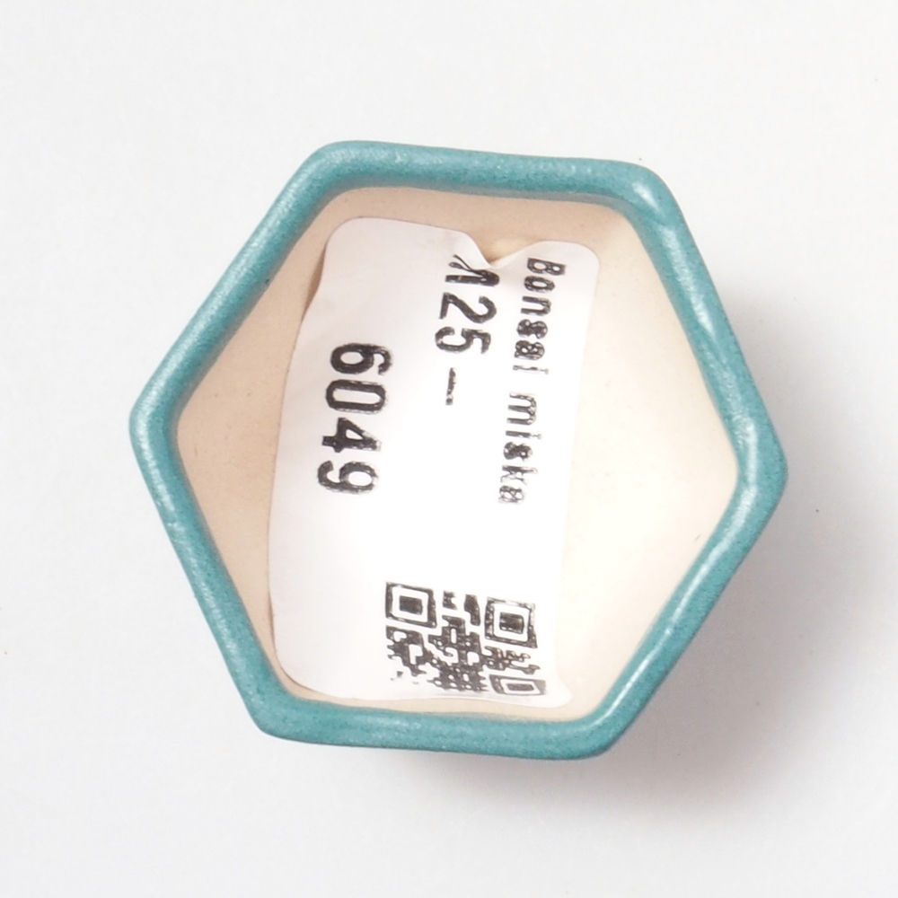 Cuenco bonsái de cerámica 6,5 x 5,5 x 4 cm, color azul