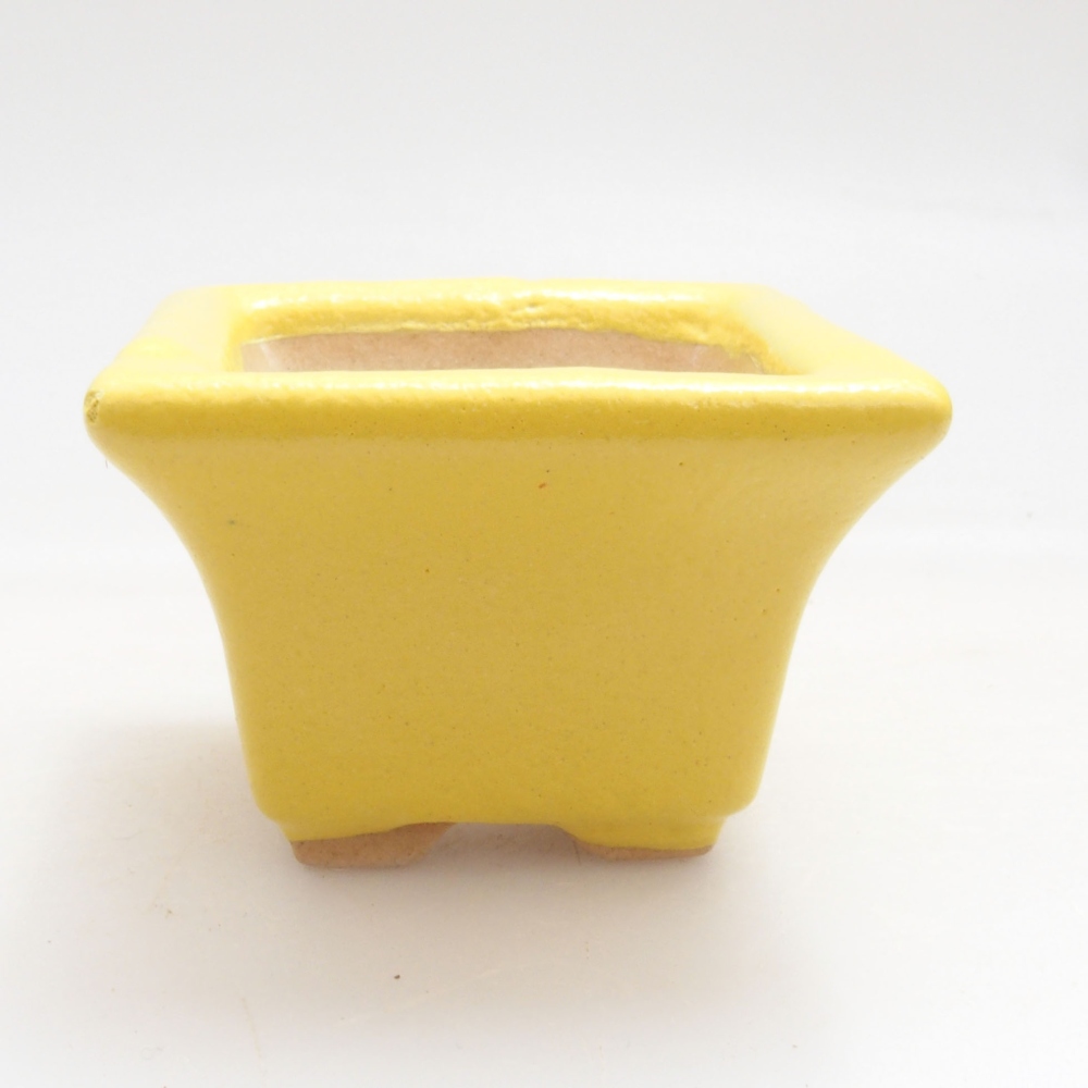 Cuenco bonsái de cerámica 5 x 5 x 3,5 cm, amarillo