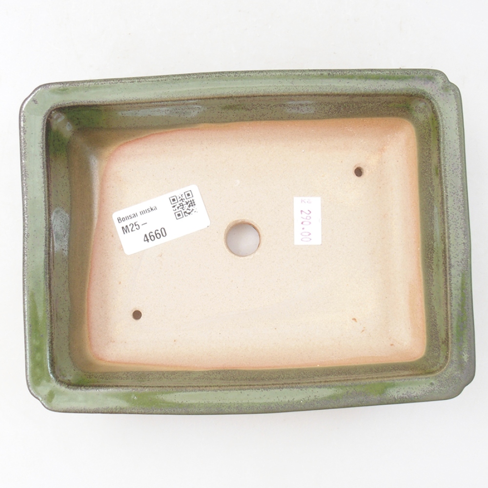 Cuenco bonsái de cerámica 17,5 x 13 x 4 cm, verde