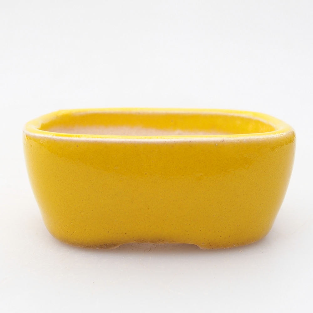 Cuenco mini bonsái 6 x 5 x 2,5 cm, amarillo