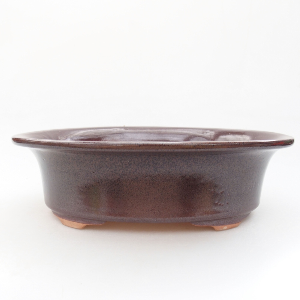 Cuenco bonsái de cerámica 22 x 17 x 5 cm, verde