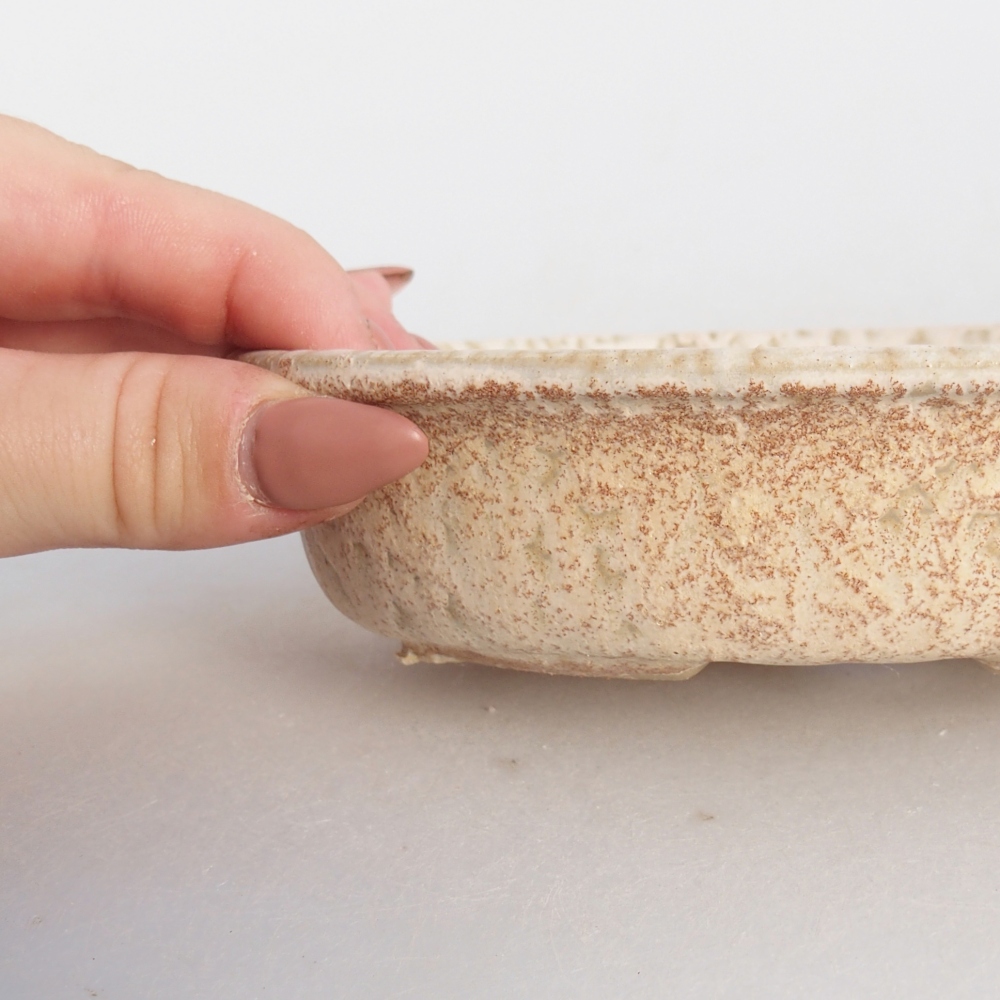 Cuenco bonsái de cerámica 15 x 10,5 x 3,5 cm, color beige