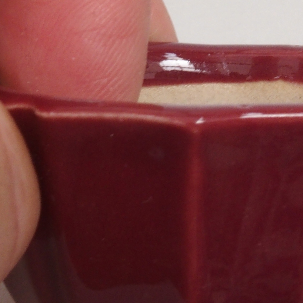 Mini cuenco bonsái 5 x 5 x 3 cm, burdeos