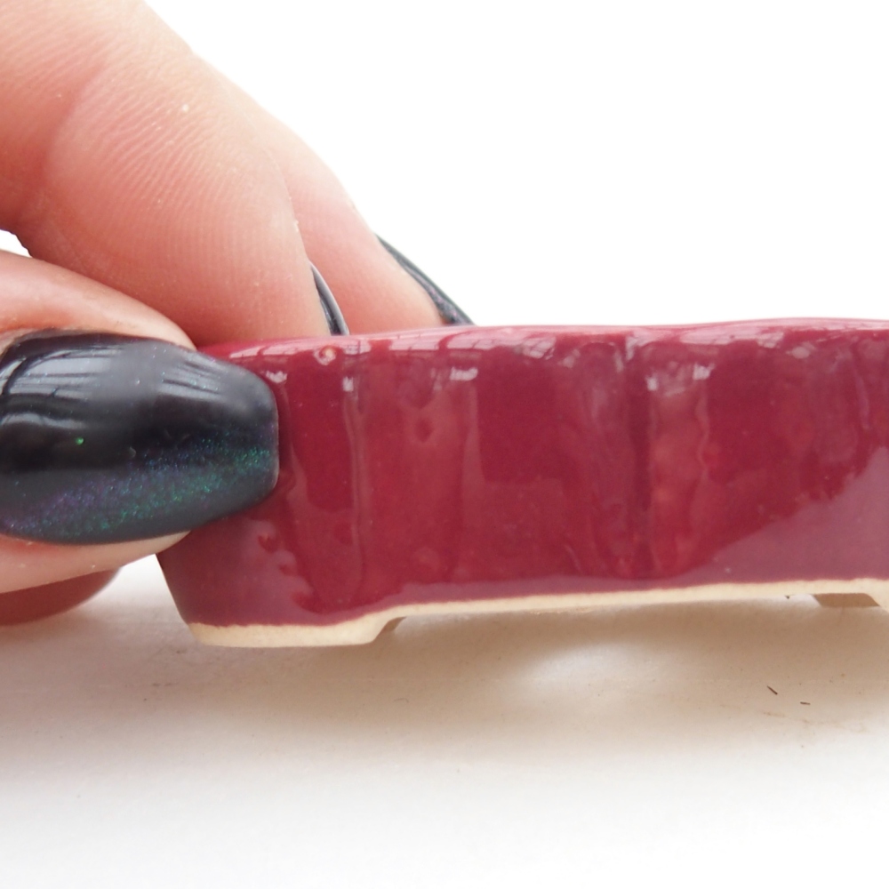 Cuenco mini bonsái 5,5 x 3,5 x 1,5 cm, burdeos