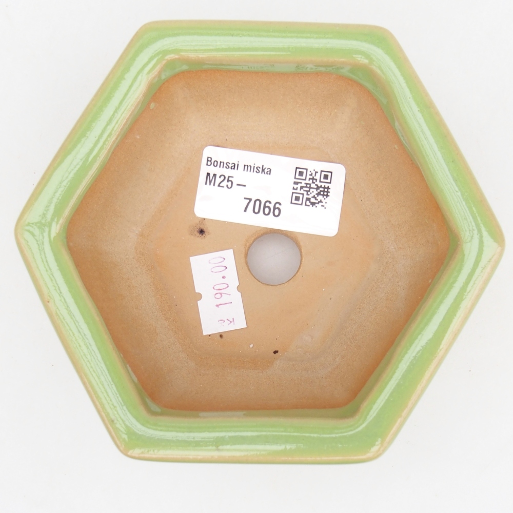 Cuenco bonsái de cerámica 12 x 10,5 x 4,5 cm, verde