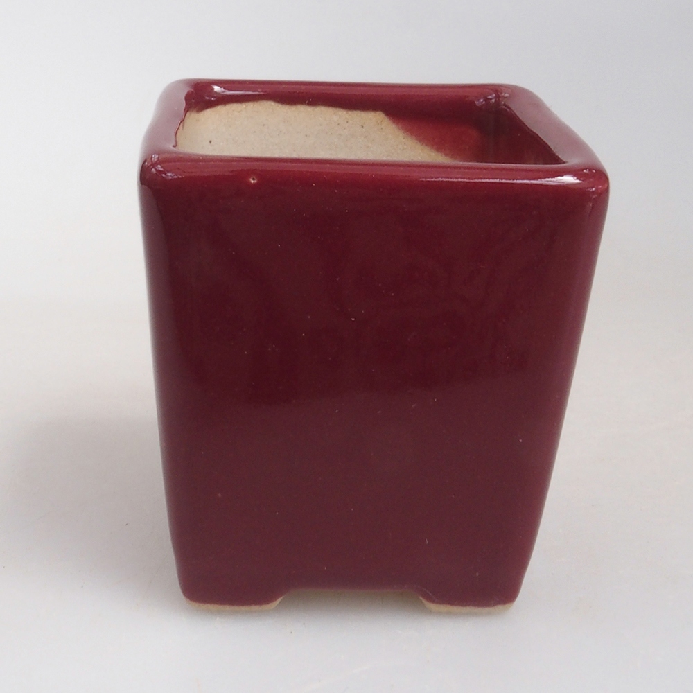 Cuenco mini bonsái 4,5 x 4,5 x 4,5 cm, burdeos