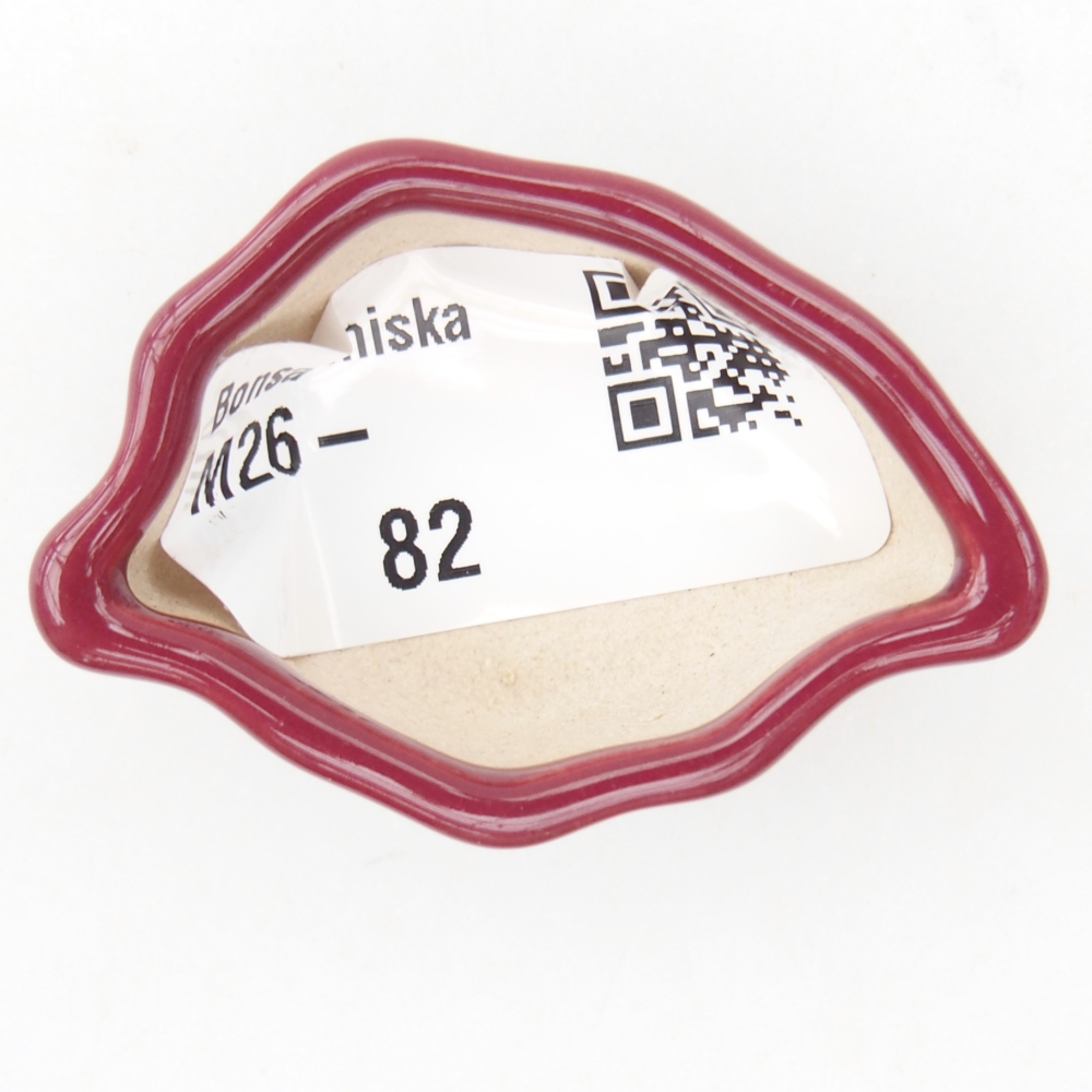 Mini cuenco bonsái 5 x 3 x 2 cm, burdeos