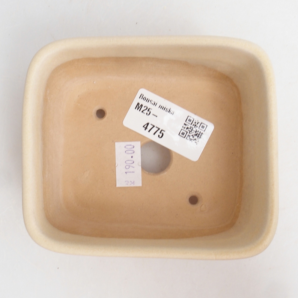 Cuenco bonsái de cerámica 10,5 x 9 x 4,5 cm, color beige