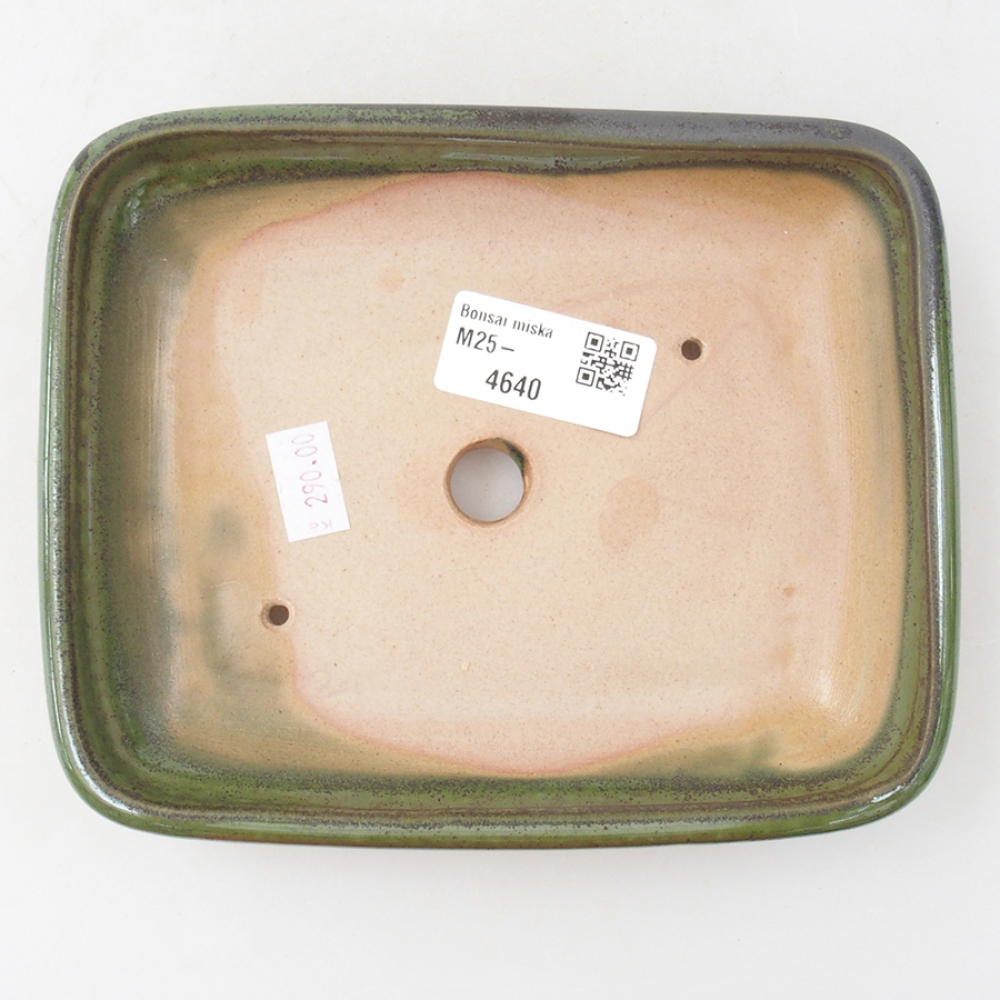 Cuenco bonsái de cerámica 17 x 13,5 x 3,5 cm, verde