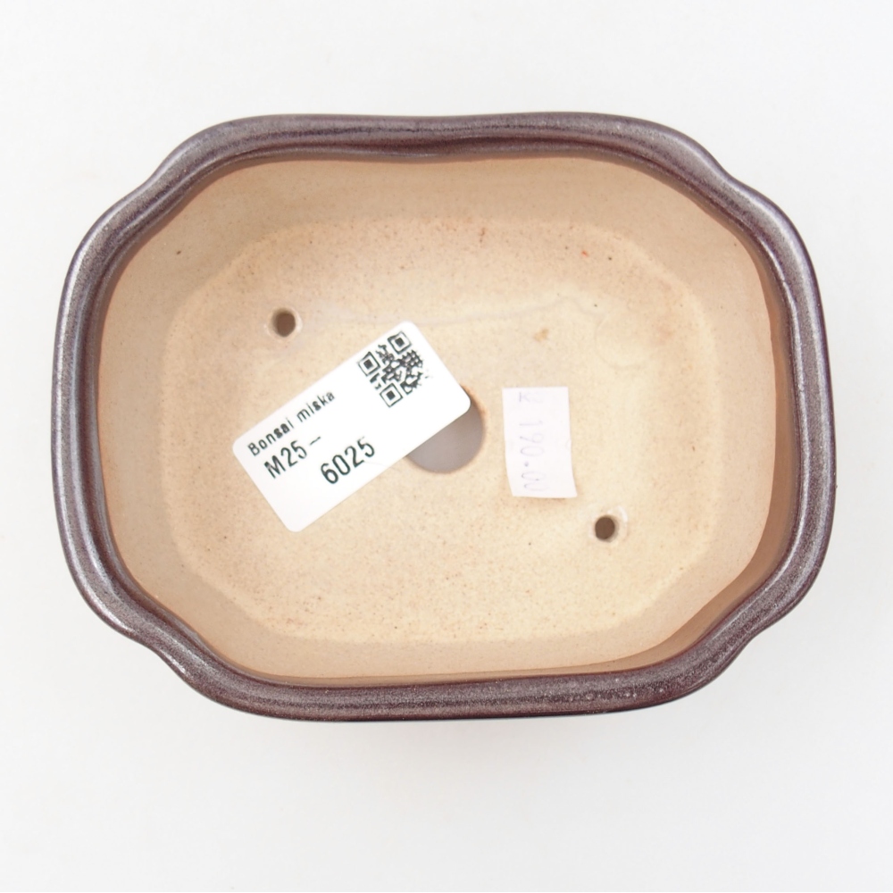 Cuenco bonsái de cerámica 22 x 17 x 5 cm, verde