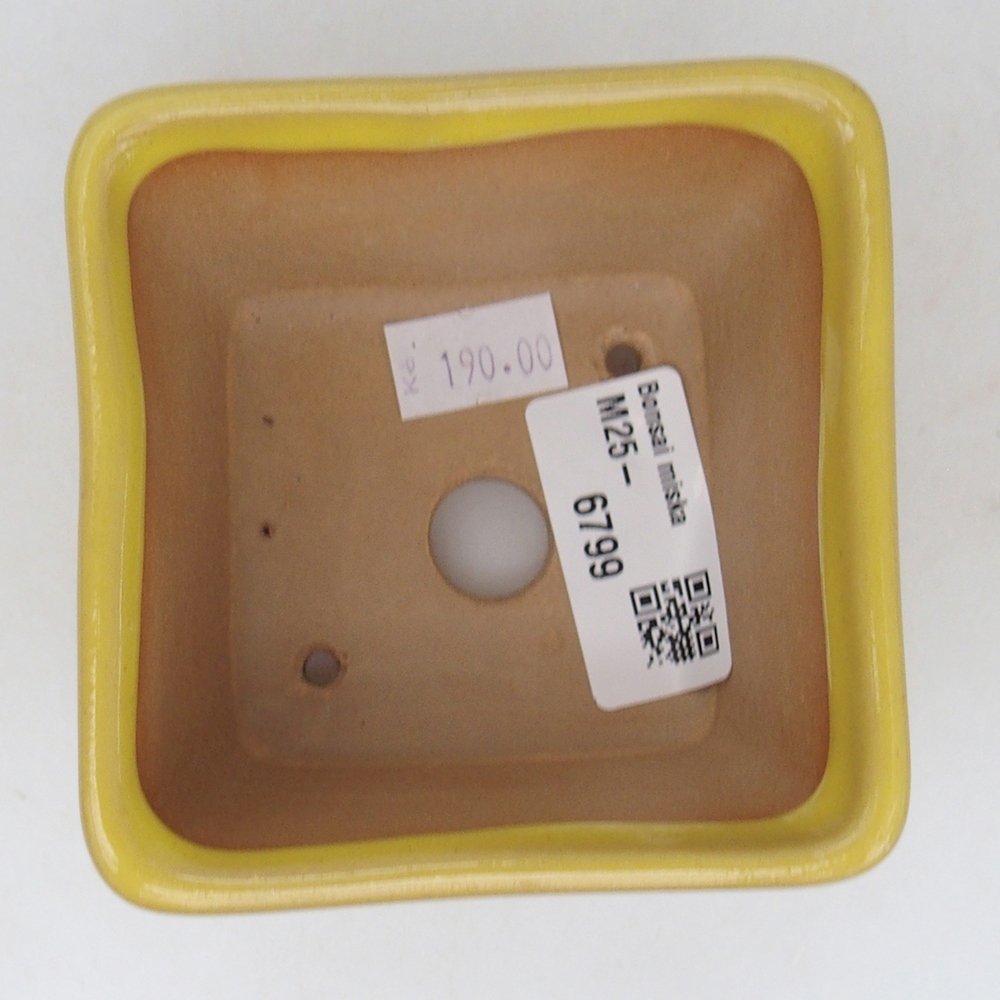 Cuenco bonsái de cerámica 8,5 x 8,5 x 6 cm, amarillo