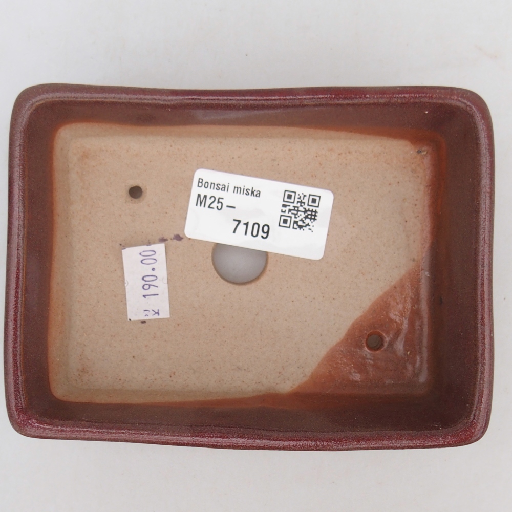 Cuenco bonsái de cerámica 11,5 x 9,5 x 6 cm, color burdeos