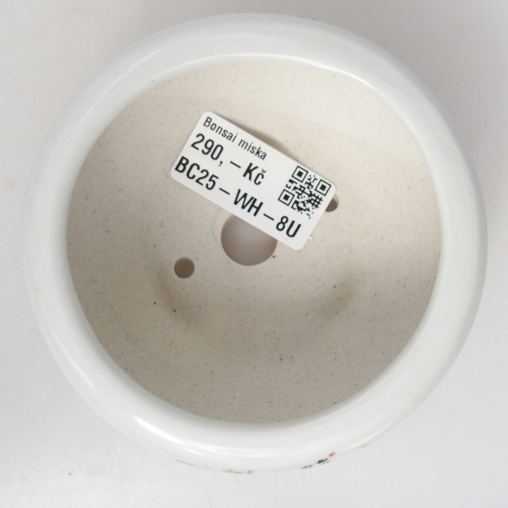 Cuenco bonsái de cerámica 10 x 10 x 5 cm, color blanco