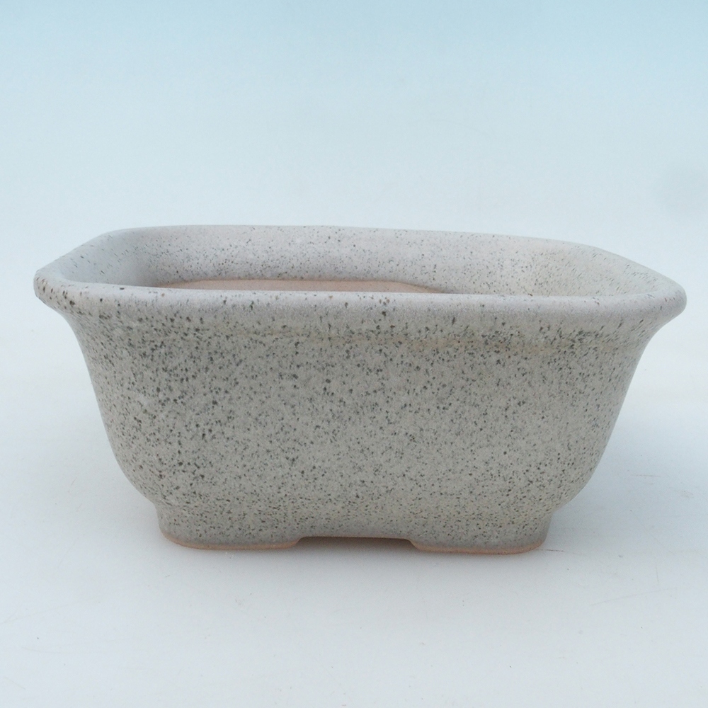 Cuenco bonsai + platillo H38 - 12x10x5,5 cm. - beige